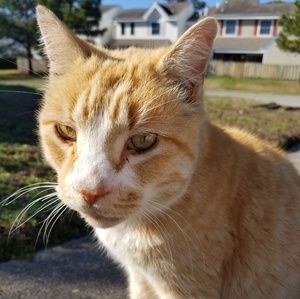 Meet your Posher, I.